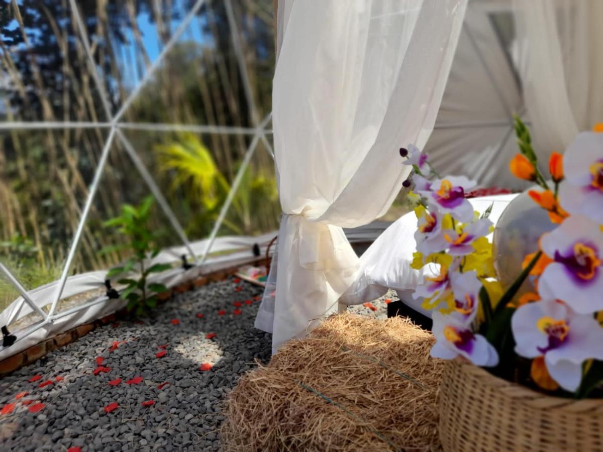 Islamontana Glamping Luxury tent *