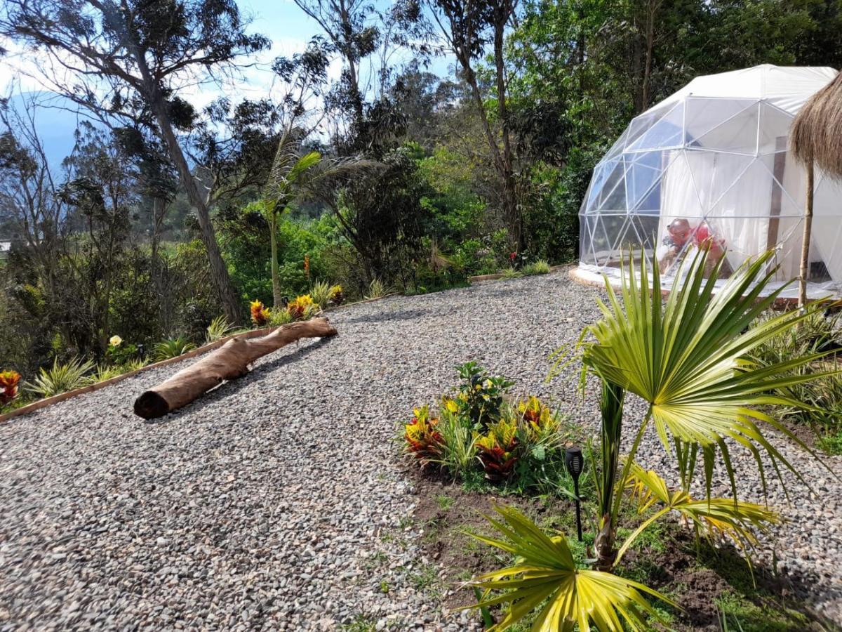 Luxury tent Islamontana Glamping *