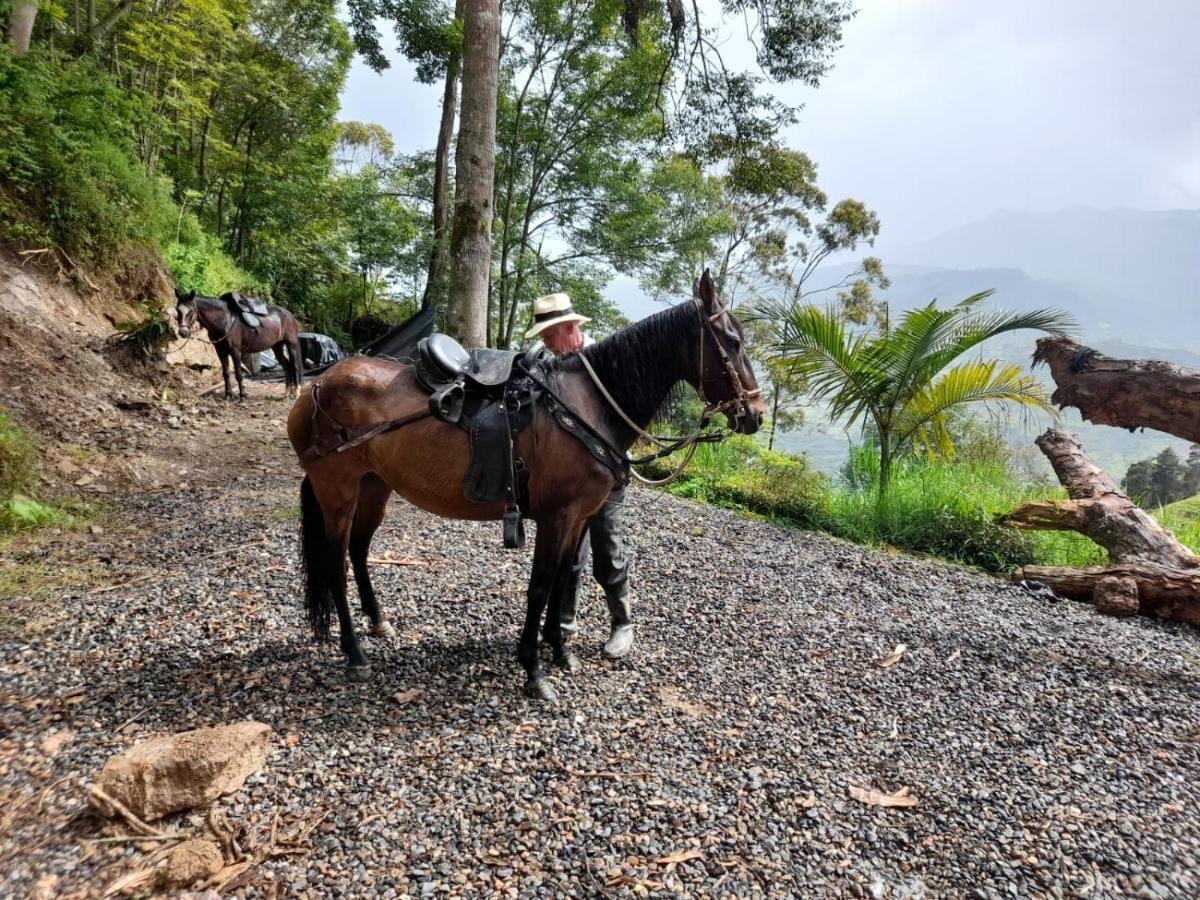 Islamontana Glamping * Fomeque