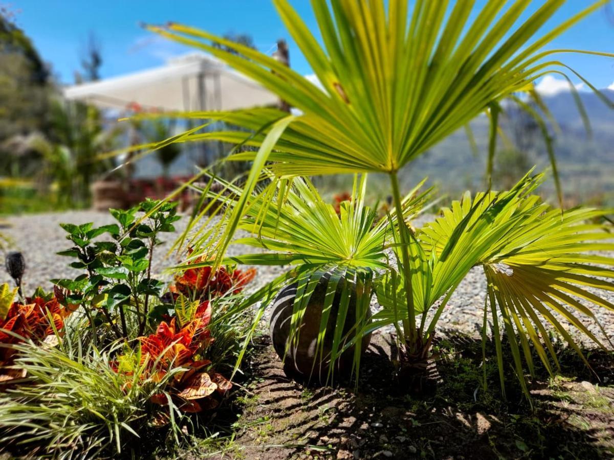 Islamontaña Glamping Campo de lujo Fomeque
